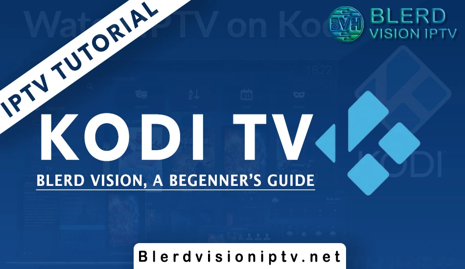 How To Set up Blerd Vision IPTV on Kodi (2023)